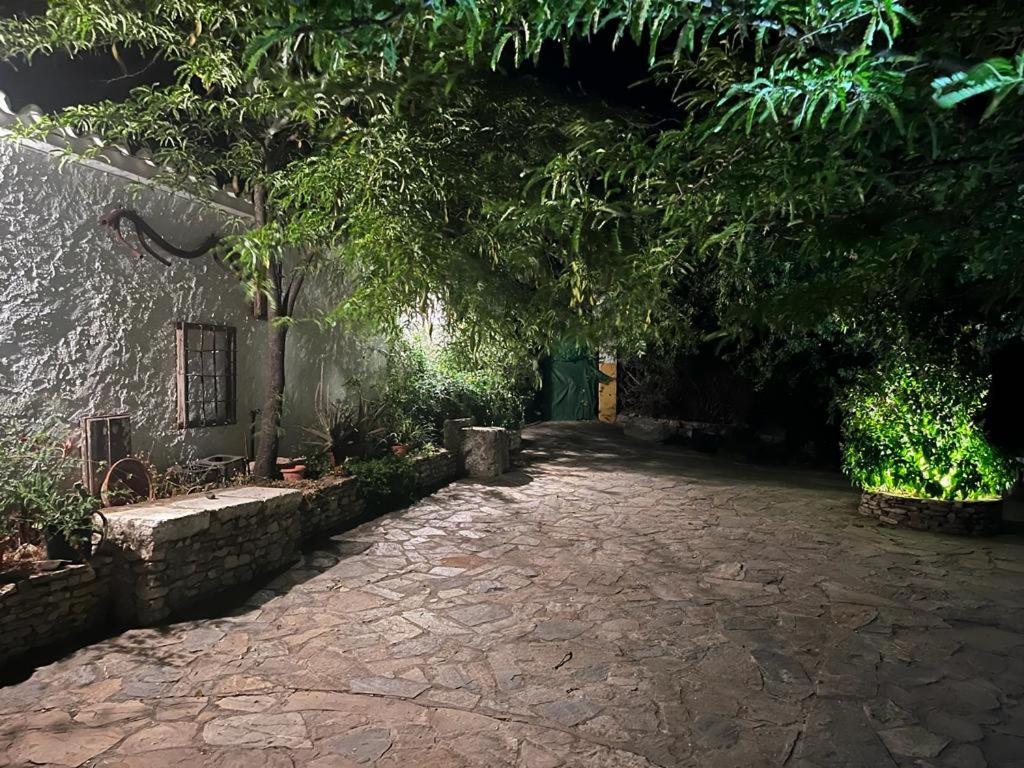 Canete la Real Casa De Campo Fuencaliente, Entorno Natural, Chimenea, Piscina מראה חיצוני תמונה