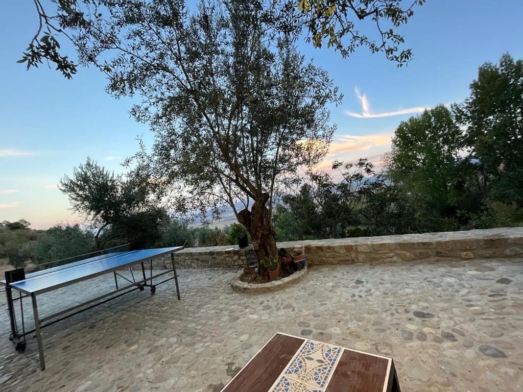 Canete la Real Casa De Campo Fuencaliente, Entorno Natural, Chimenea, Piscina מראה חיצוני תמונה